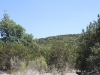 Camp Hamman_19